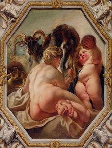 Capricornio, de los signos del zodiaco